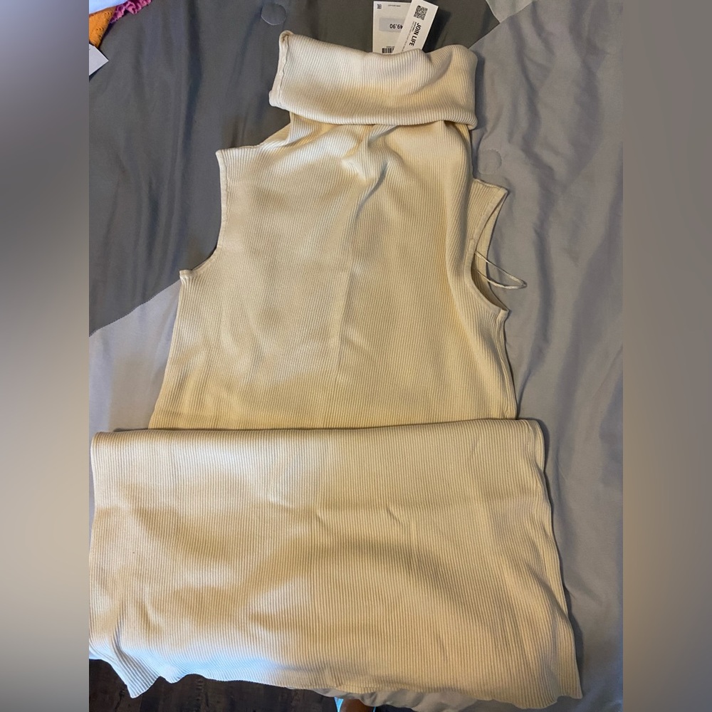 Zara knit mock neck dress